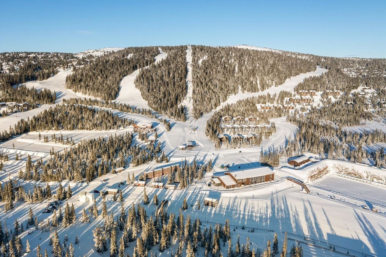 Nattrudstilen med Sjusjøen skisenter. Leiligheten ligger rett ved både bakken og skistadioen. Galleribilde