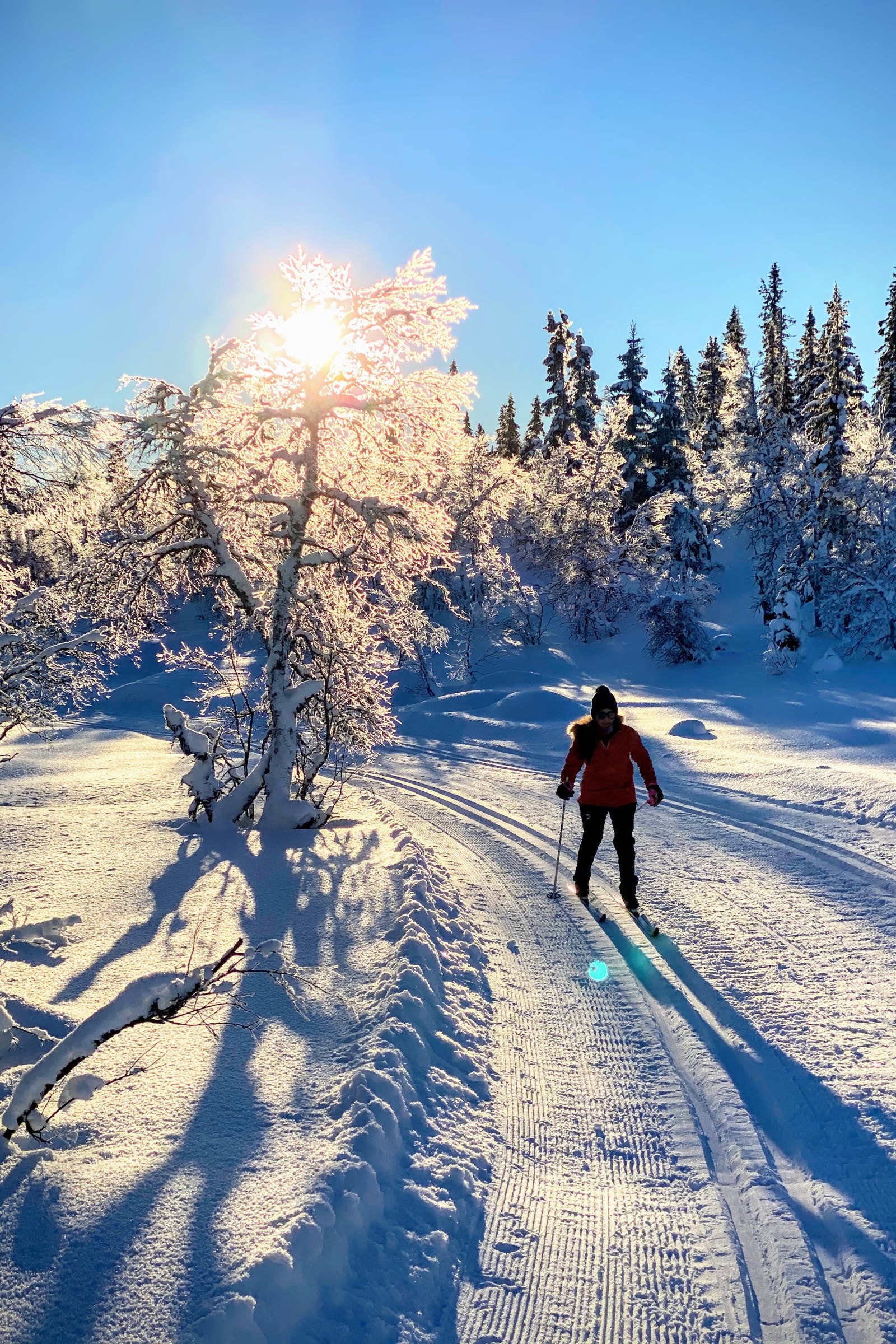 Privat bilde tatt av selger Galleribilde