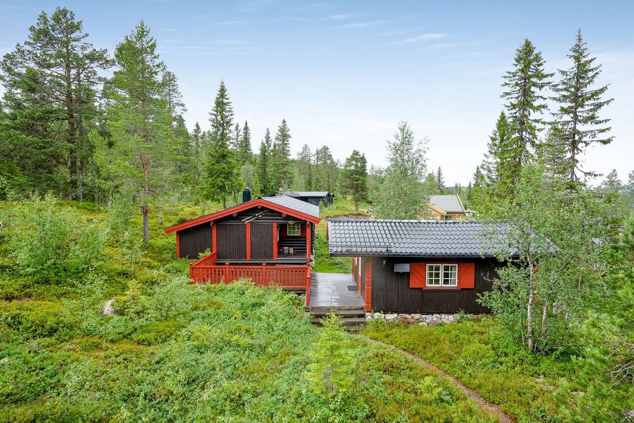Om sommeren er det kort veg til sykkel- og turløyper i og rundt fjellet Galleribilde