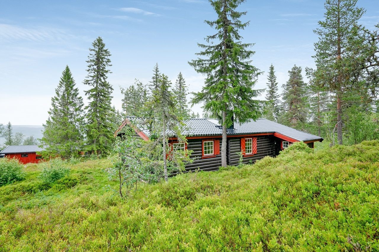 Fin naturtomt med muligheter Galleribilde