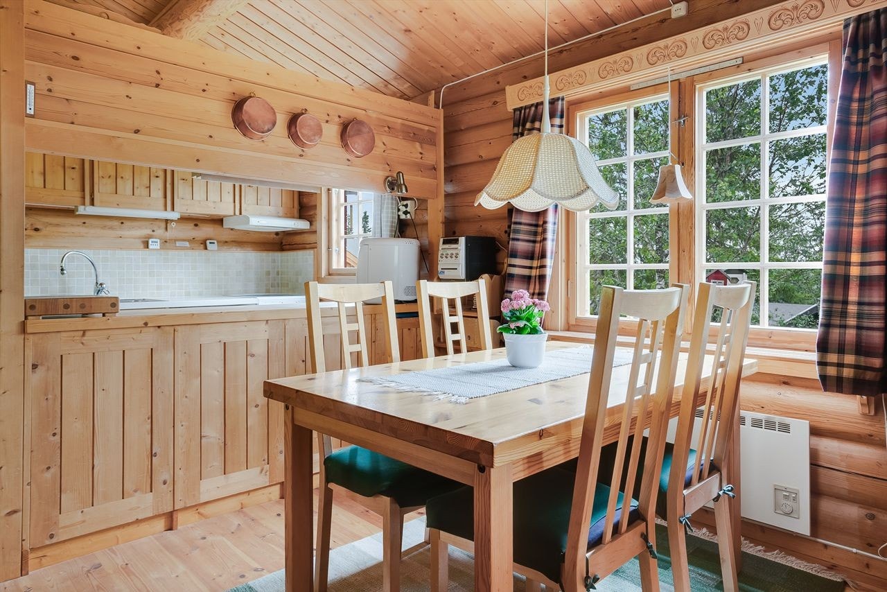 Utsikt til naturen og fint lys fra vinduene Galleribilde