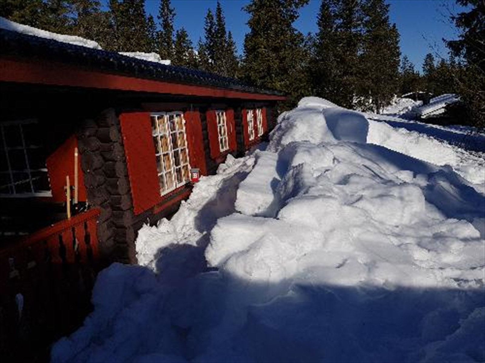 20180327_100547.jpg Galleribilde