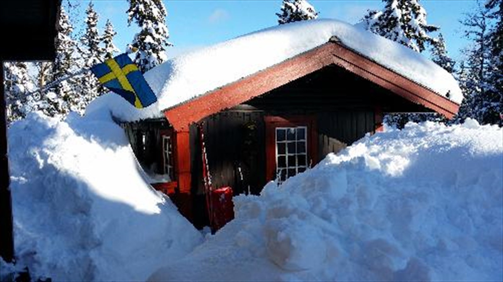 20150304_144558.jpg Galleribilde