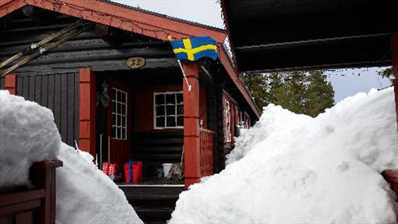 20150307_133220_2.jpg Galleribilde