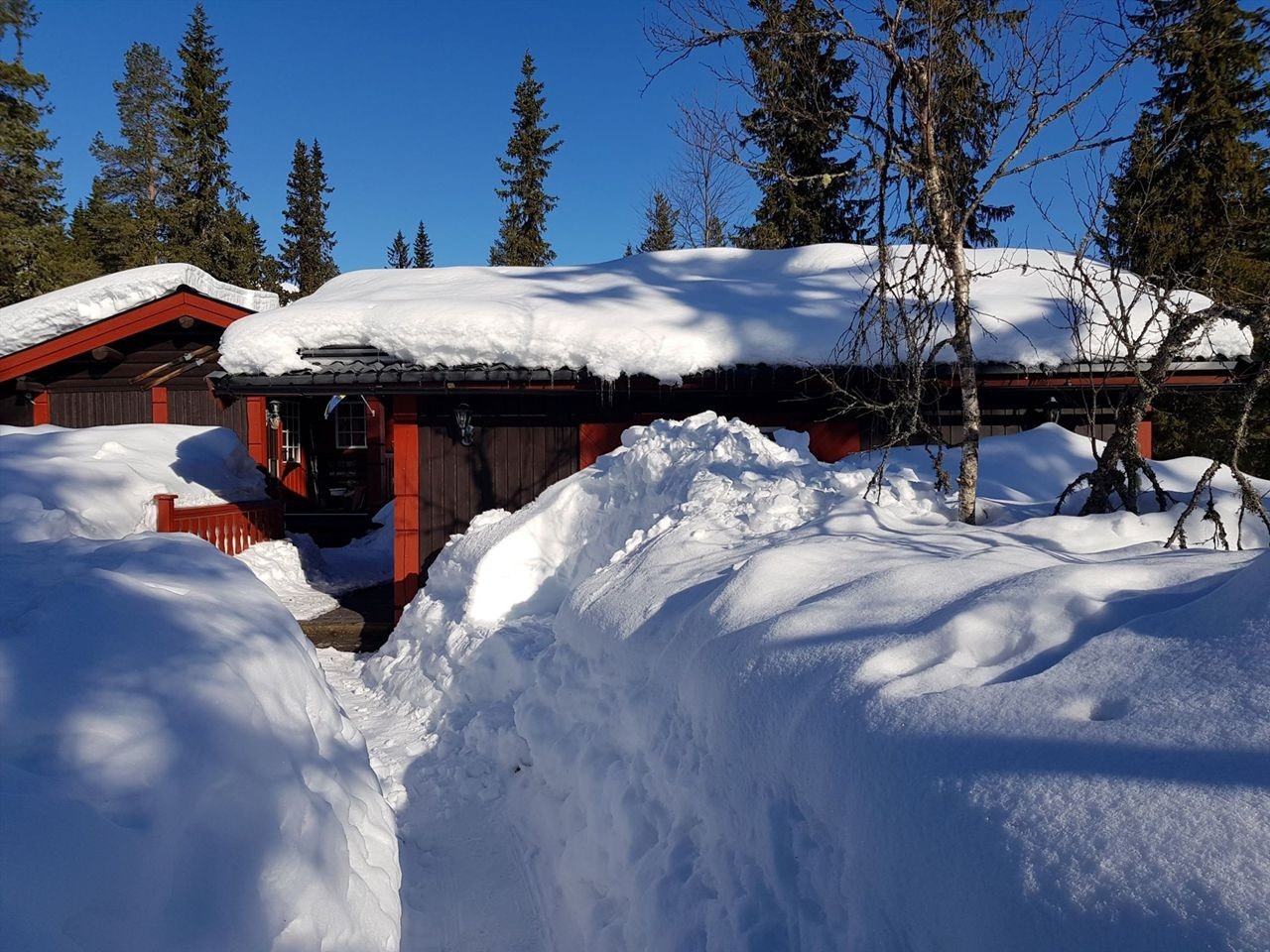 Ski inn og ut fra bakken og nær langrennsløyper Galleribilde