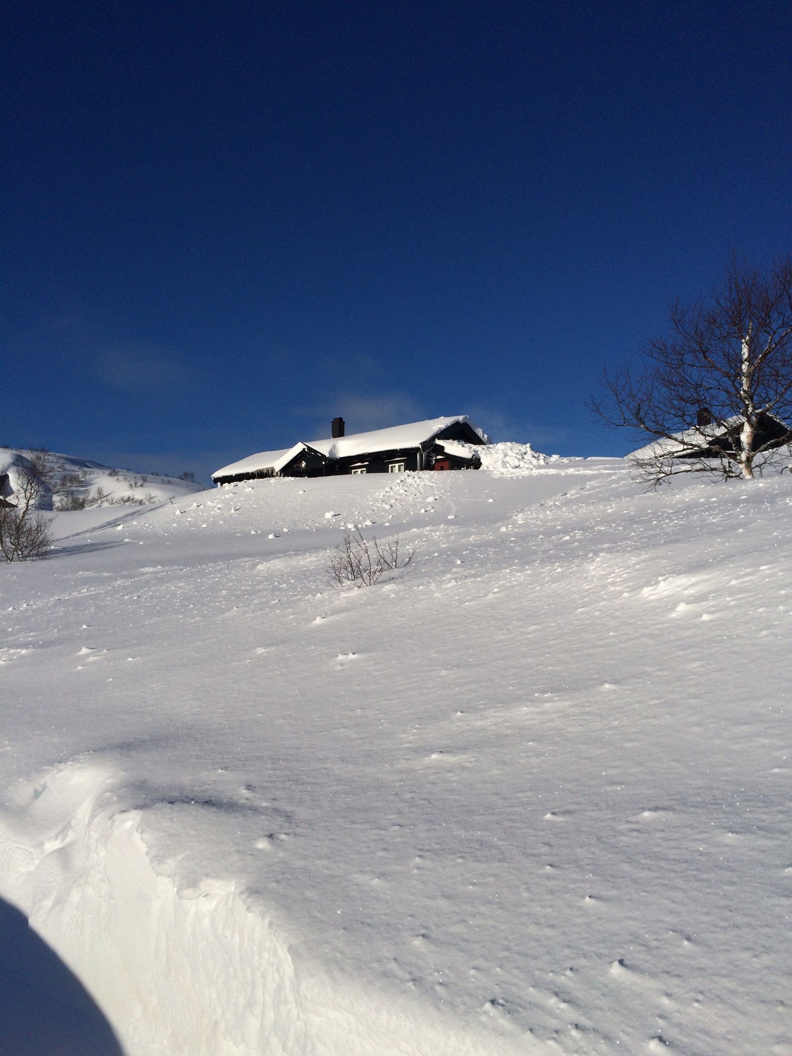 Selgers bilder fra vinterstid. Galleribilde