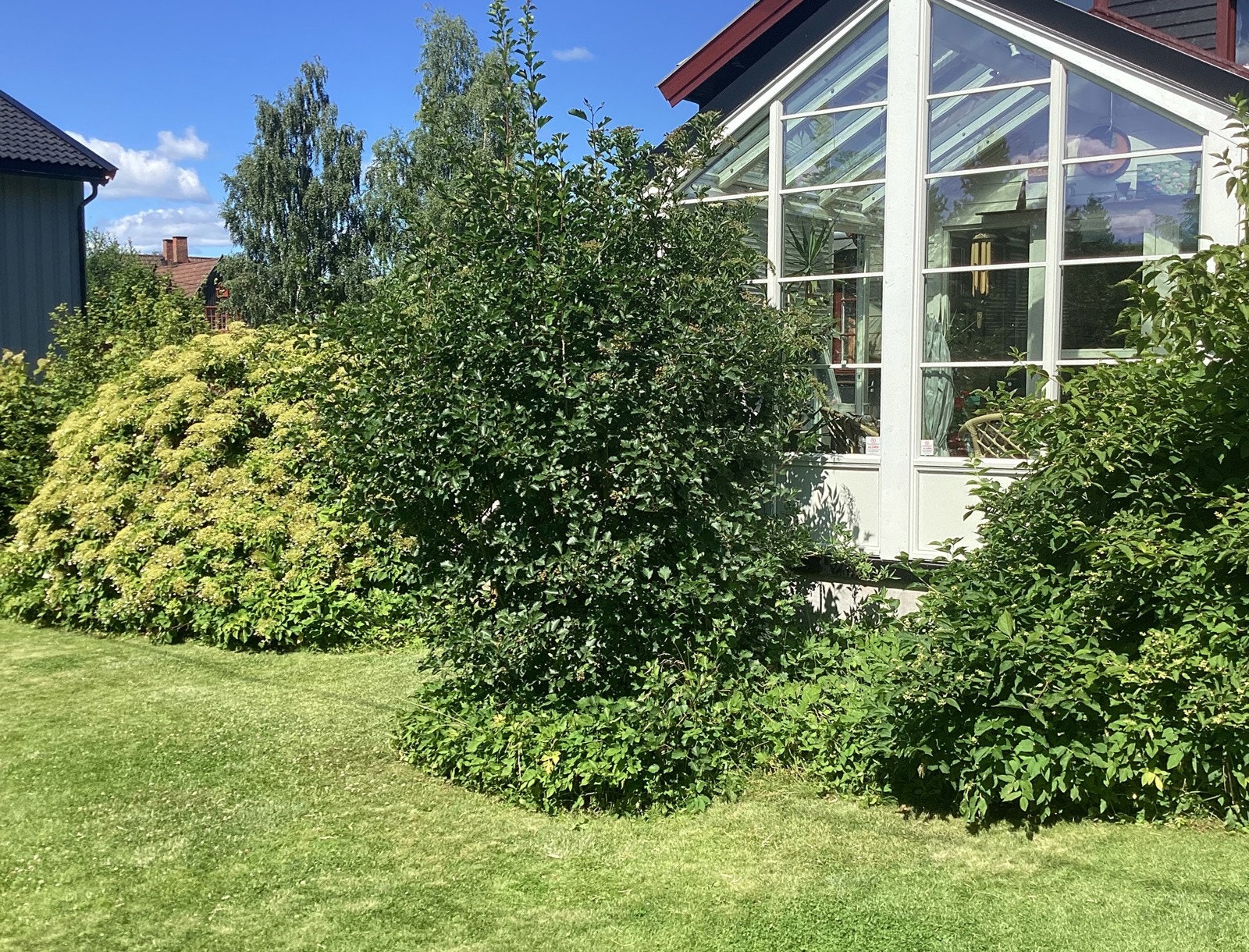 Pent opparbeidet og skjermet hage. Selgers egne sommerbilder. Galleribilde