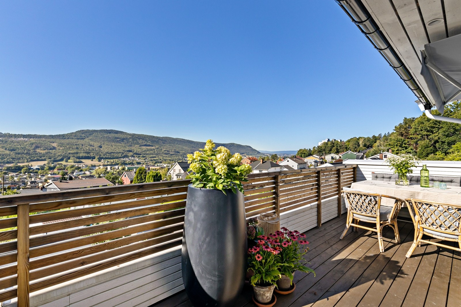 Svært frittliggende og usjenert Galleribilde