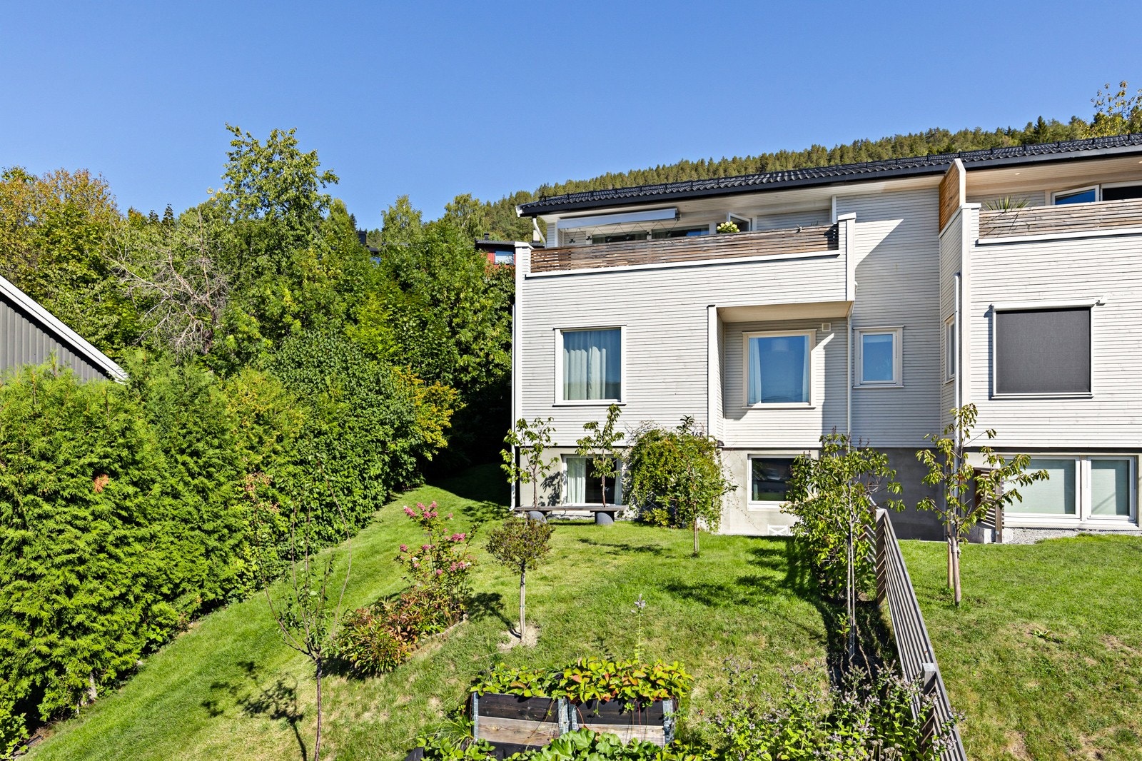 Frodig hage med bærbusker og frukttrær Galleribilde