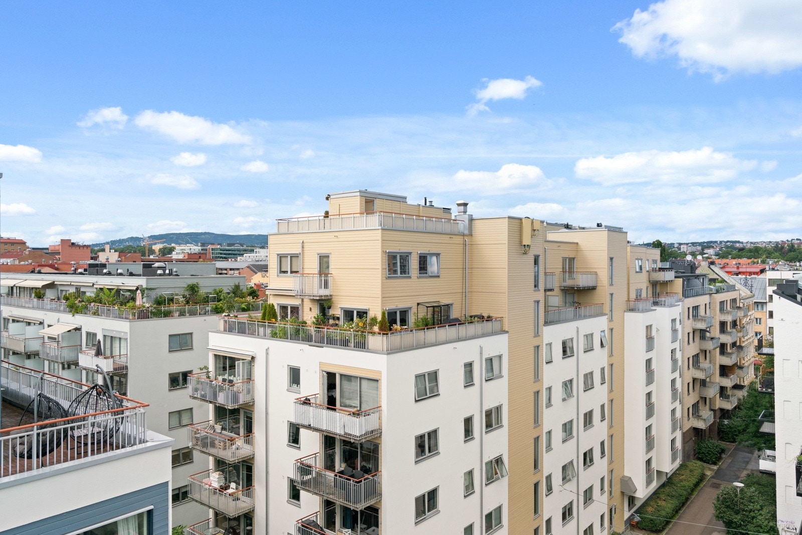 Flott utsikt over Oslo by. Galleribilde