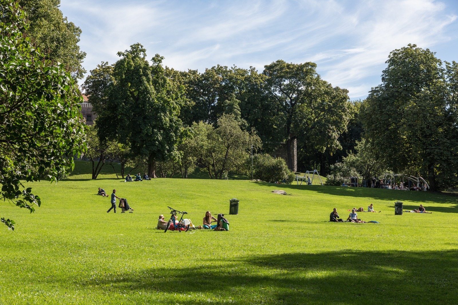 Nærområde - Mange flotte parkområder. Galleribilde