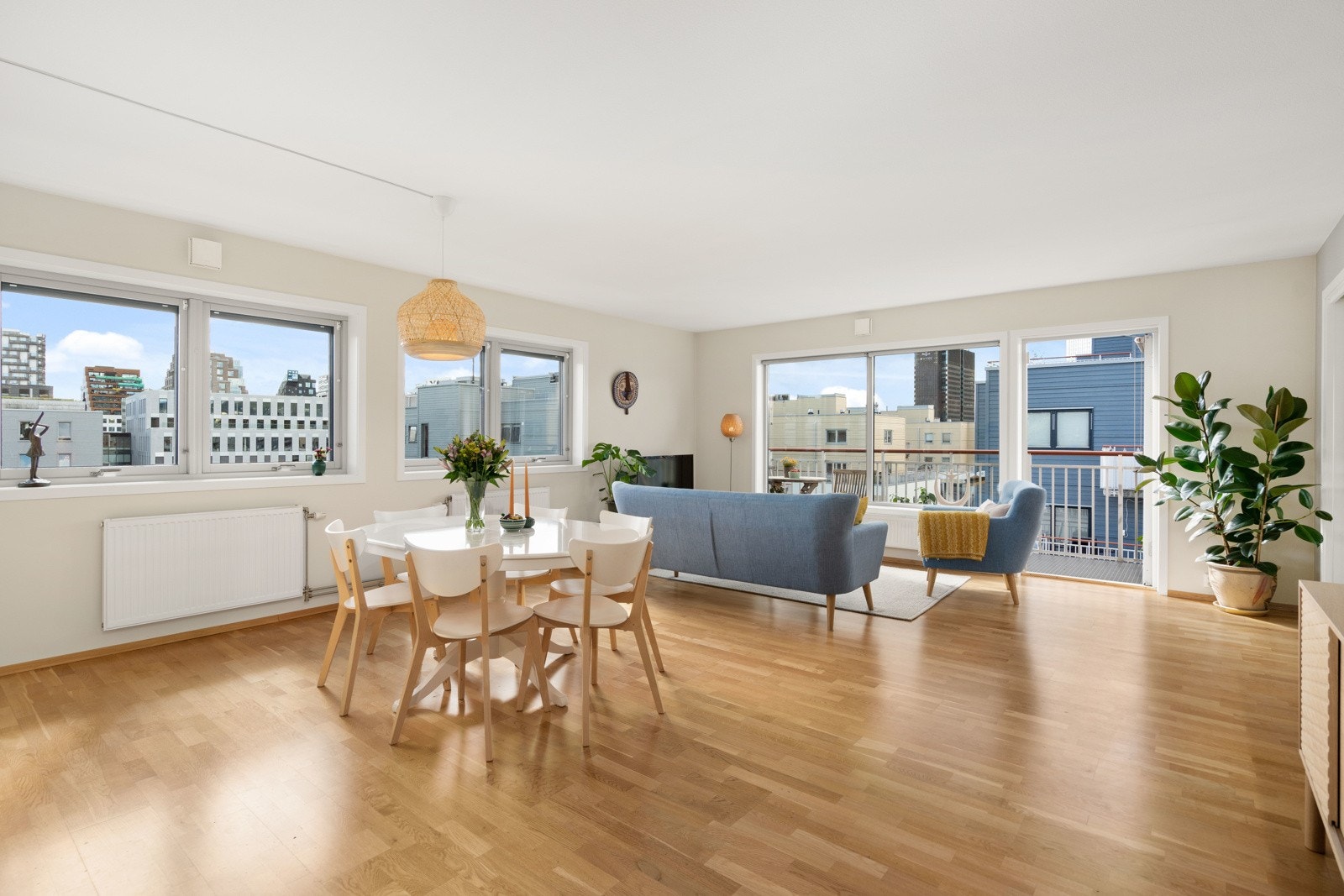 Takhøyde oppmålt til 2.46 m. Galleribilde