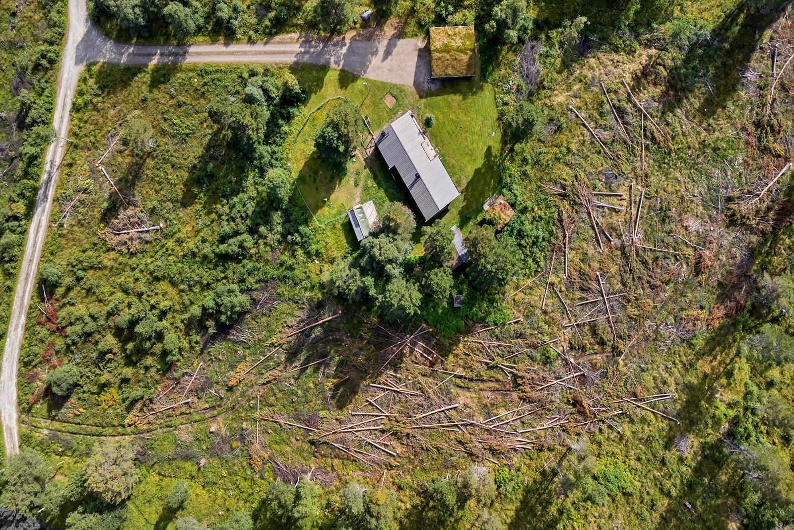 Hånesrabben Hyttefelt Galleribilde