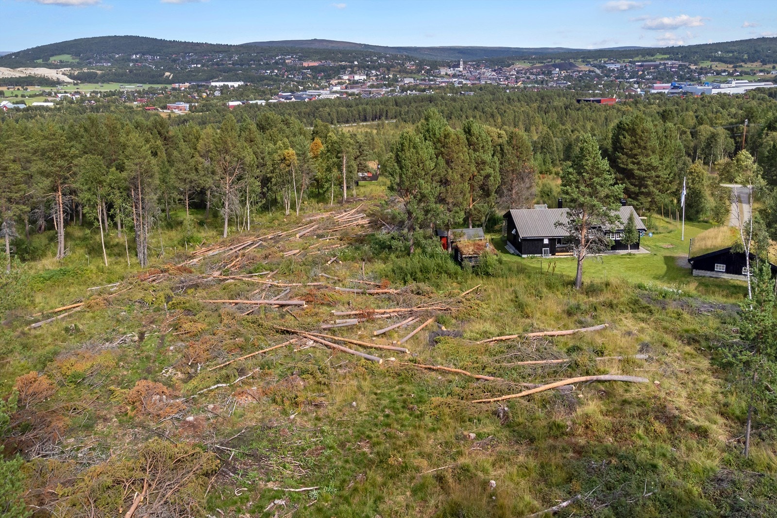Hånesrabben Hyttefelt Galleribilde