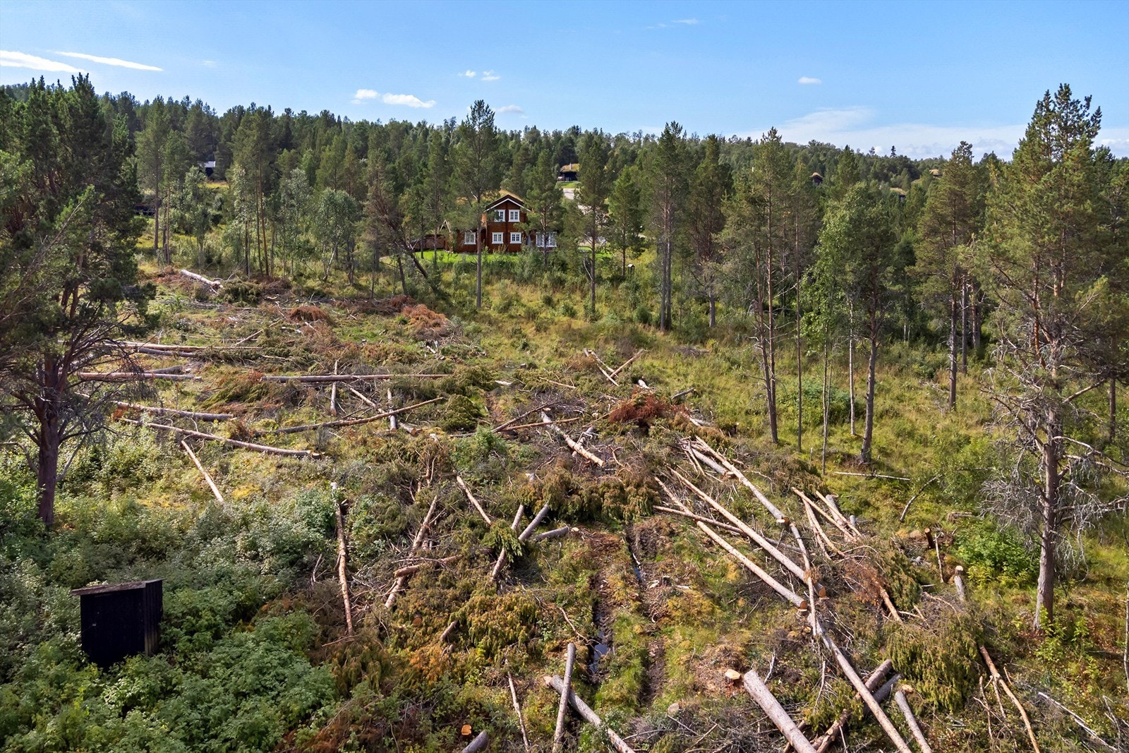 Hånesrabben Hyttefelt Galleribilde