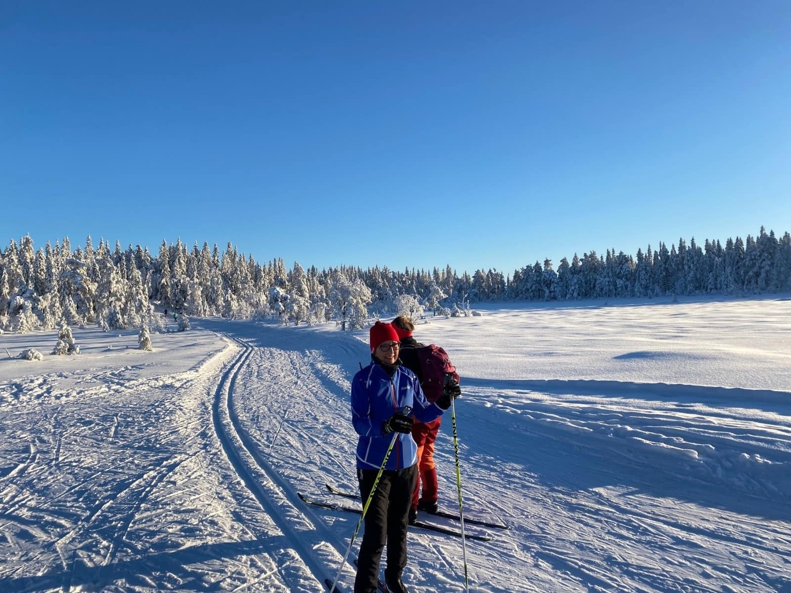 Trondsbumarka byr på flott skiterreng Galleribilde