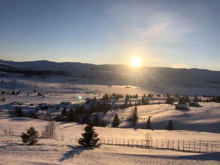 Sol og utsiktsbilde fra hyttegrend Galleribilde