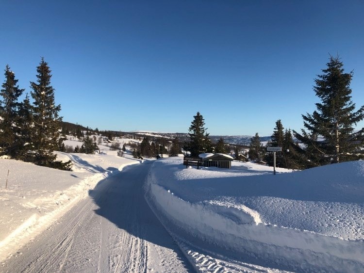 Vei adkomst vinter Galleribilde