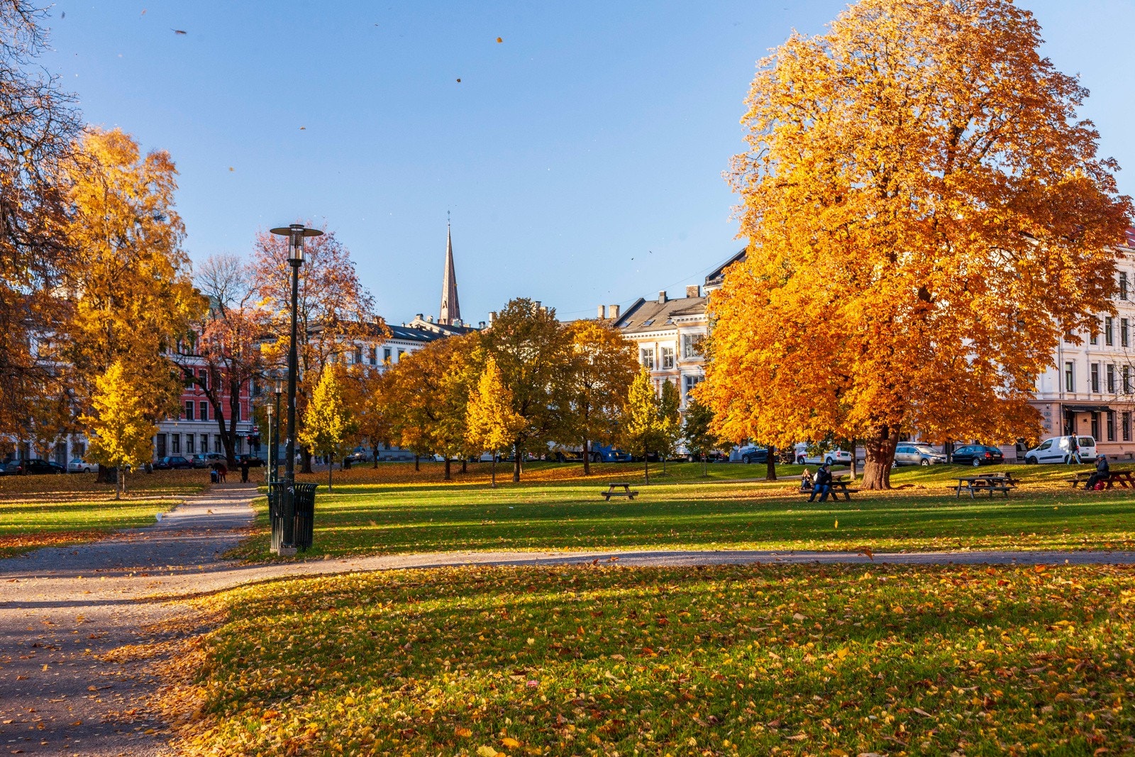 Flere hyggeligelige parker i nærområdet som Sofienbergparken, Birkenlunden og Olaf Ryes Plass Galleribilde