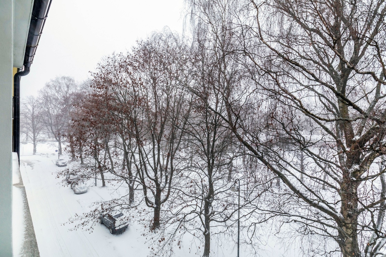 Boligen ligger i en rolig sidegate uten gjennomgangstrafikk inntil parken. Galleribilde