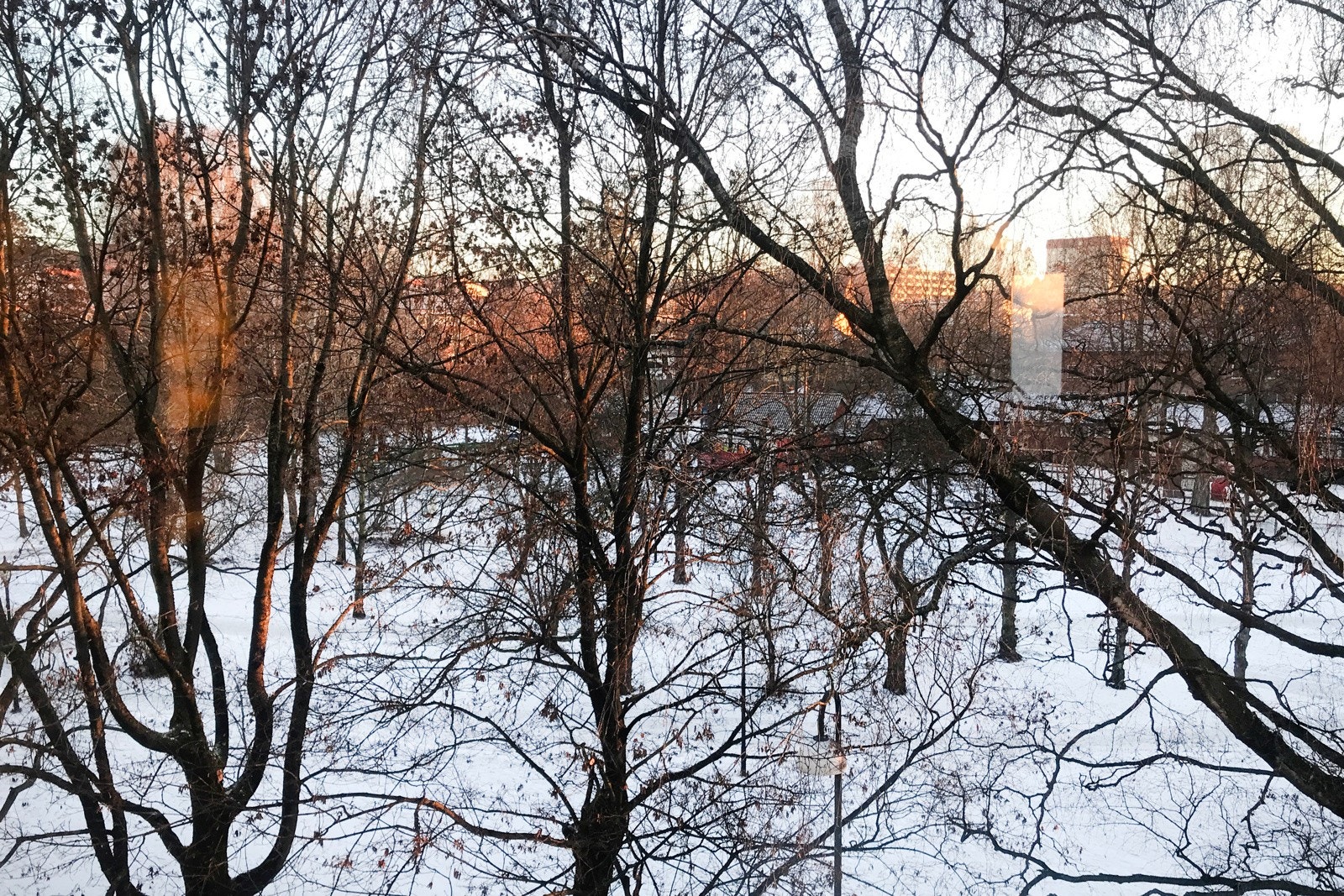 Utsikt mot Hallénparken - selgers bilde Galleribilde