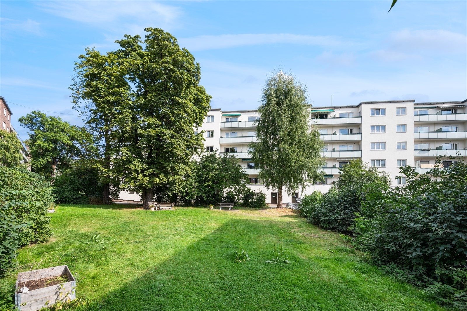 Det er flere hyggelige grøntarealer i området. Galleribilde