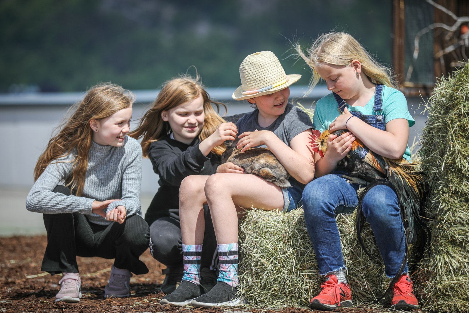 Urban Zoo har tatt noen av dyrene ut i sommersolen Galleribilde