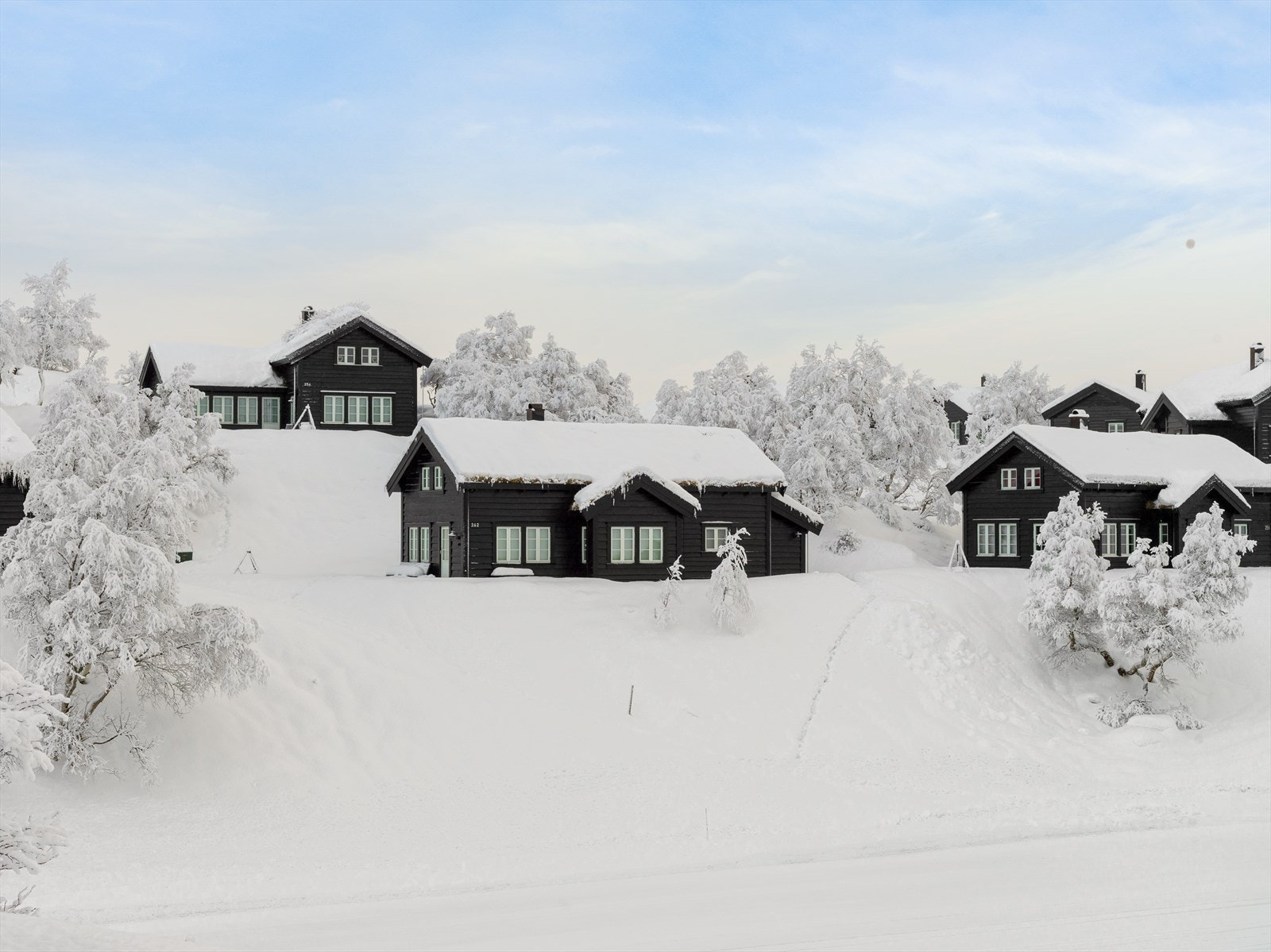 Dan Chruickshank presenterer: Moderne høyfjellshytte m/4 sov/2 stuer/2 wc, på solrik tomt. Parker v/hytten. Rett i skisporet. Galleribilde