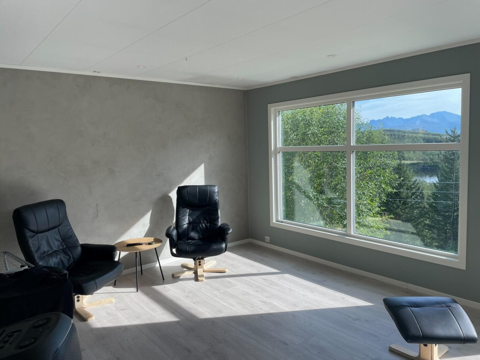 Romslig stue med store vindusflater (privat bilde - sommerbilde)