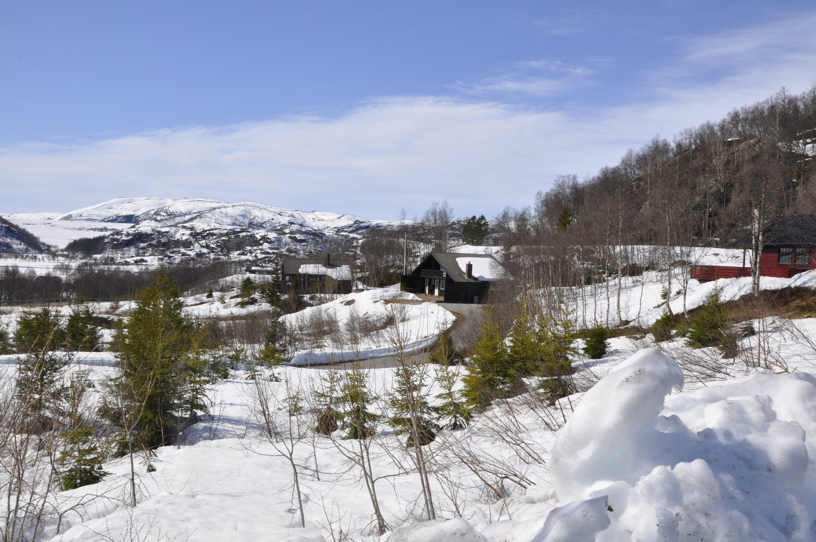 Bilde fra området Galleribilde