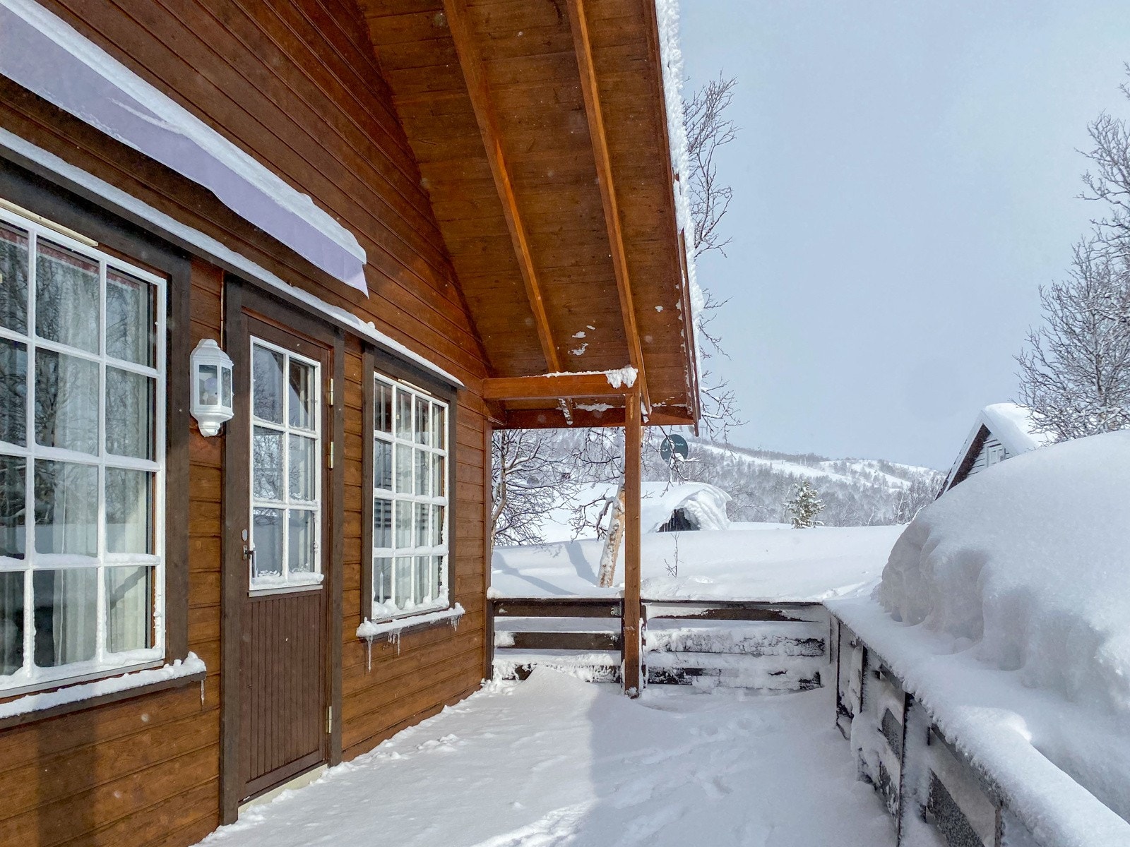 IMG_2786 Galleribilde