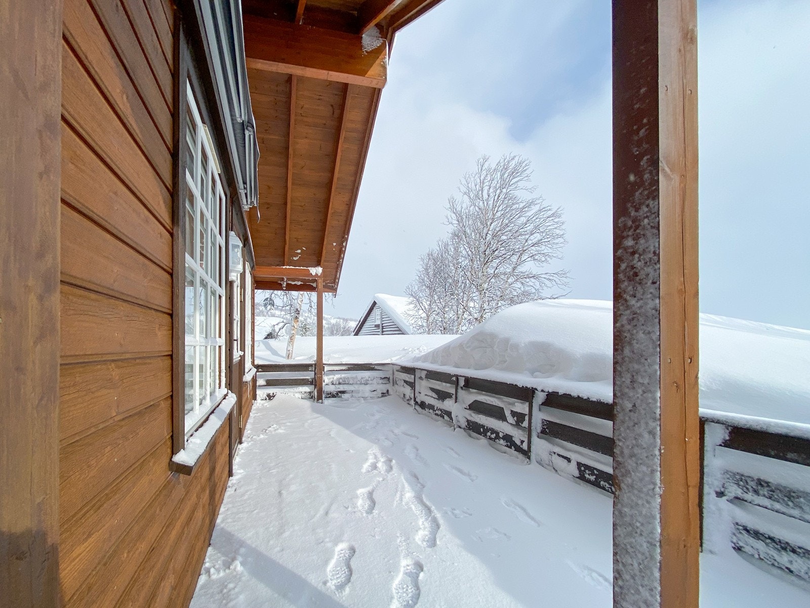 IMG_2784 Galleribilde