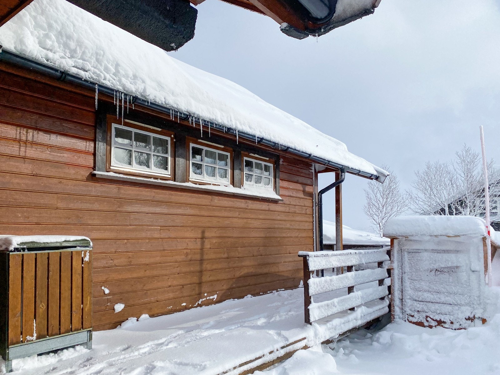 IMG_2781 Galleribilde