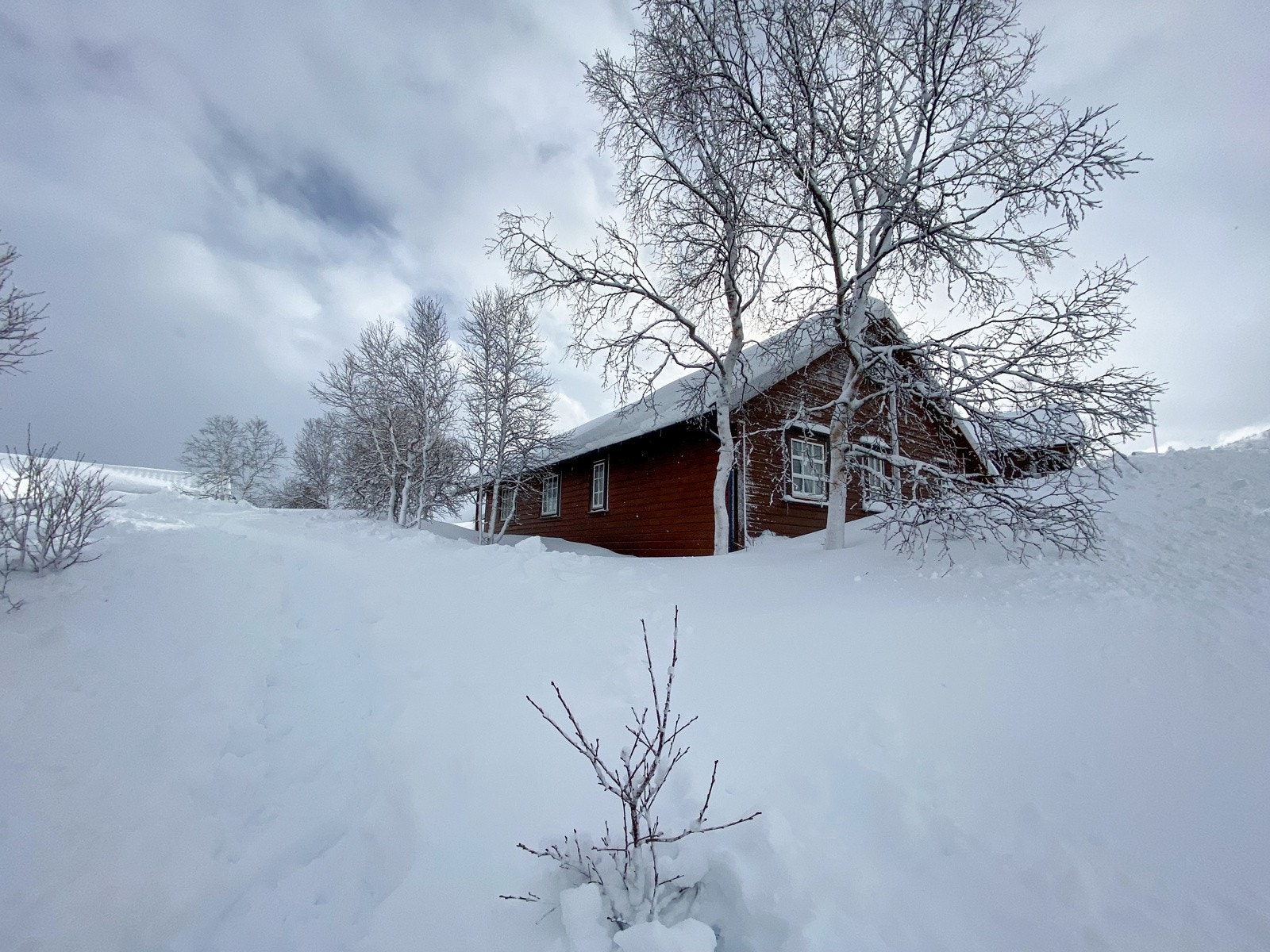 IMG_2776 Galleribilde