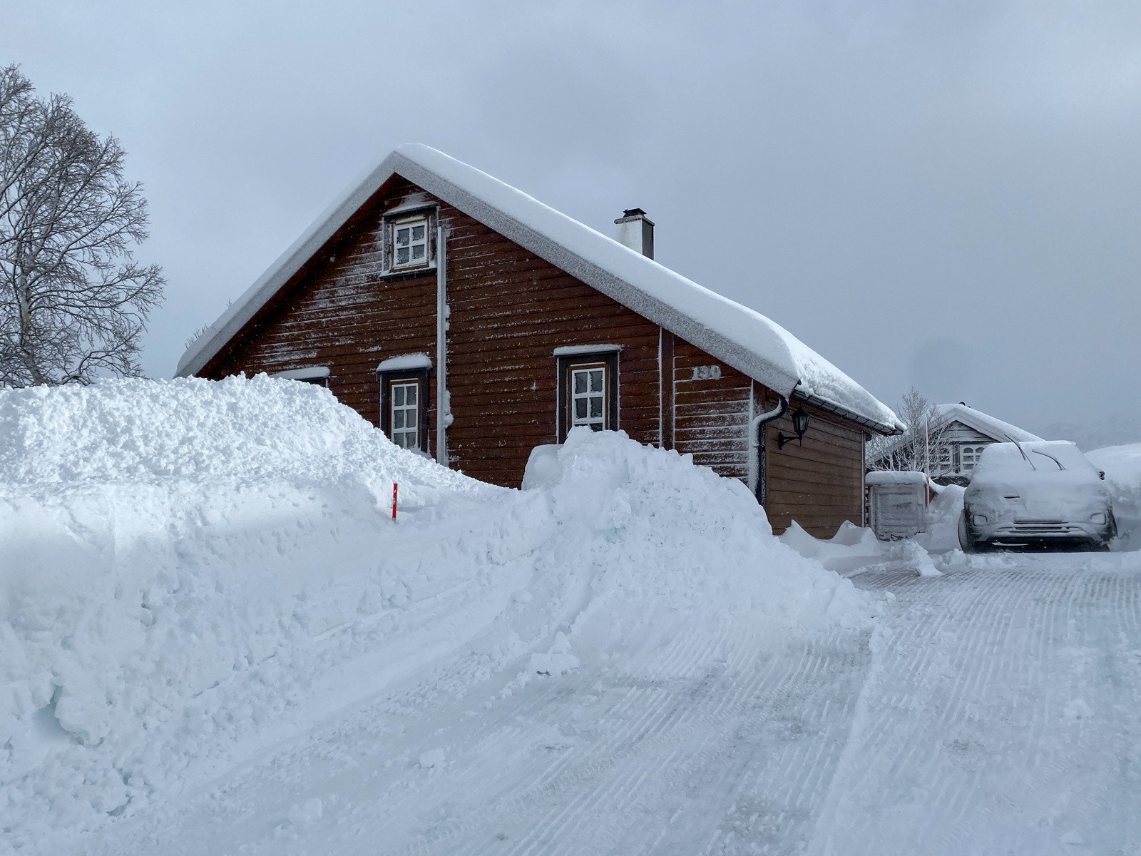 IMG_2774 Galleribilde