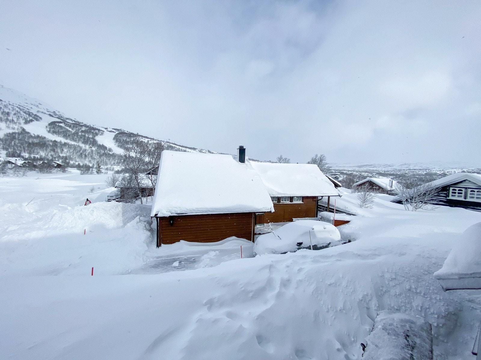 IMG_2797 Galleribilde