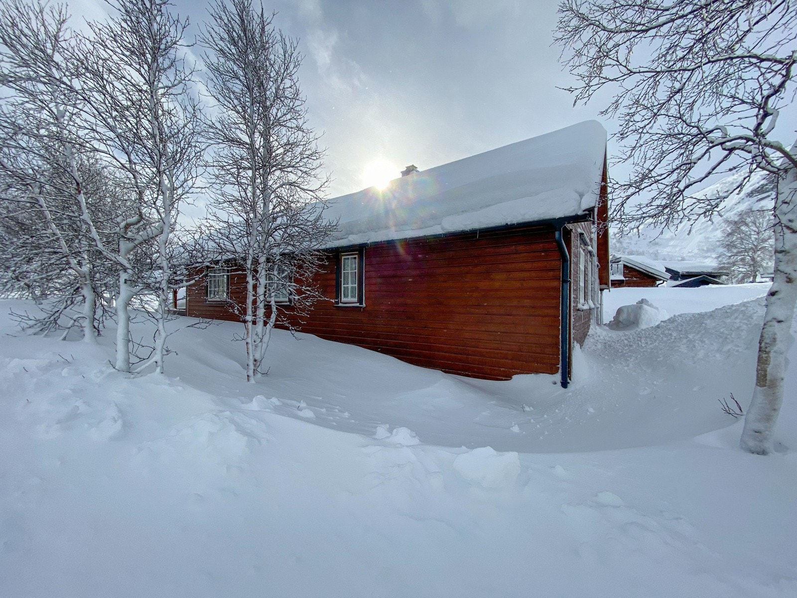 IMG_2778 Galleribilde