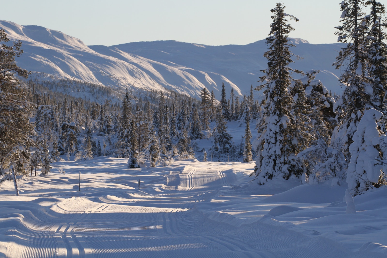 Steintjønnrunden med utsikt mot Blefjell Galleribilde