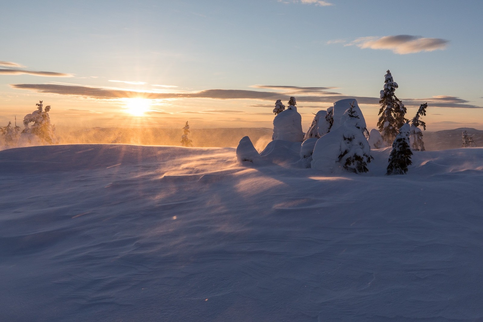 Fra Birkenåsen Galleribilde