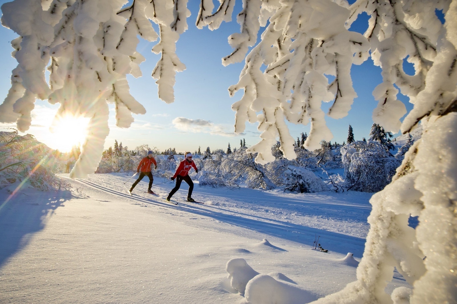 120 km med preparerte langrennsløyper direkte ut fra tomta OG direkte inn på Birkenløypa så man kan gå de 54 km over til Lillehammer. Galleribilde