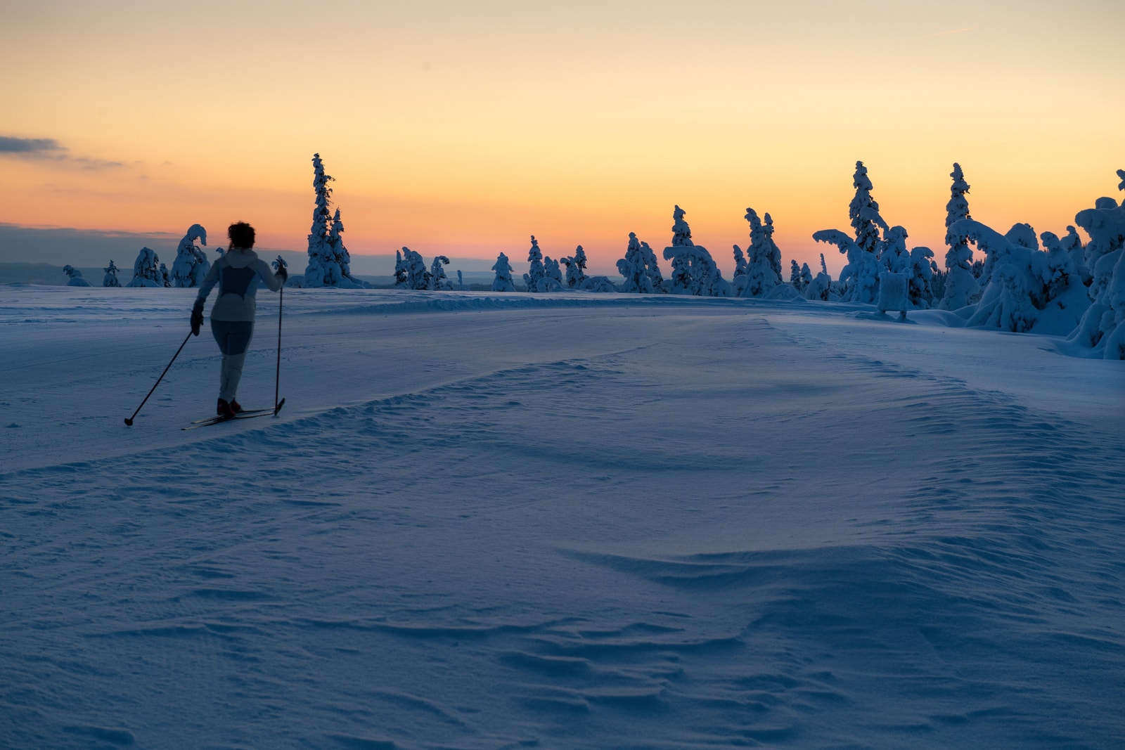 Kveldstur i Birkenåsen. Galleribilde