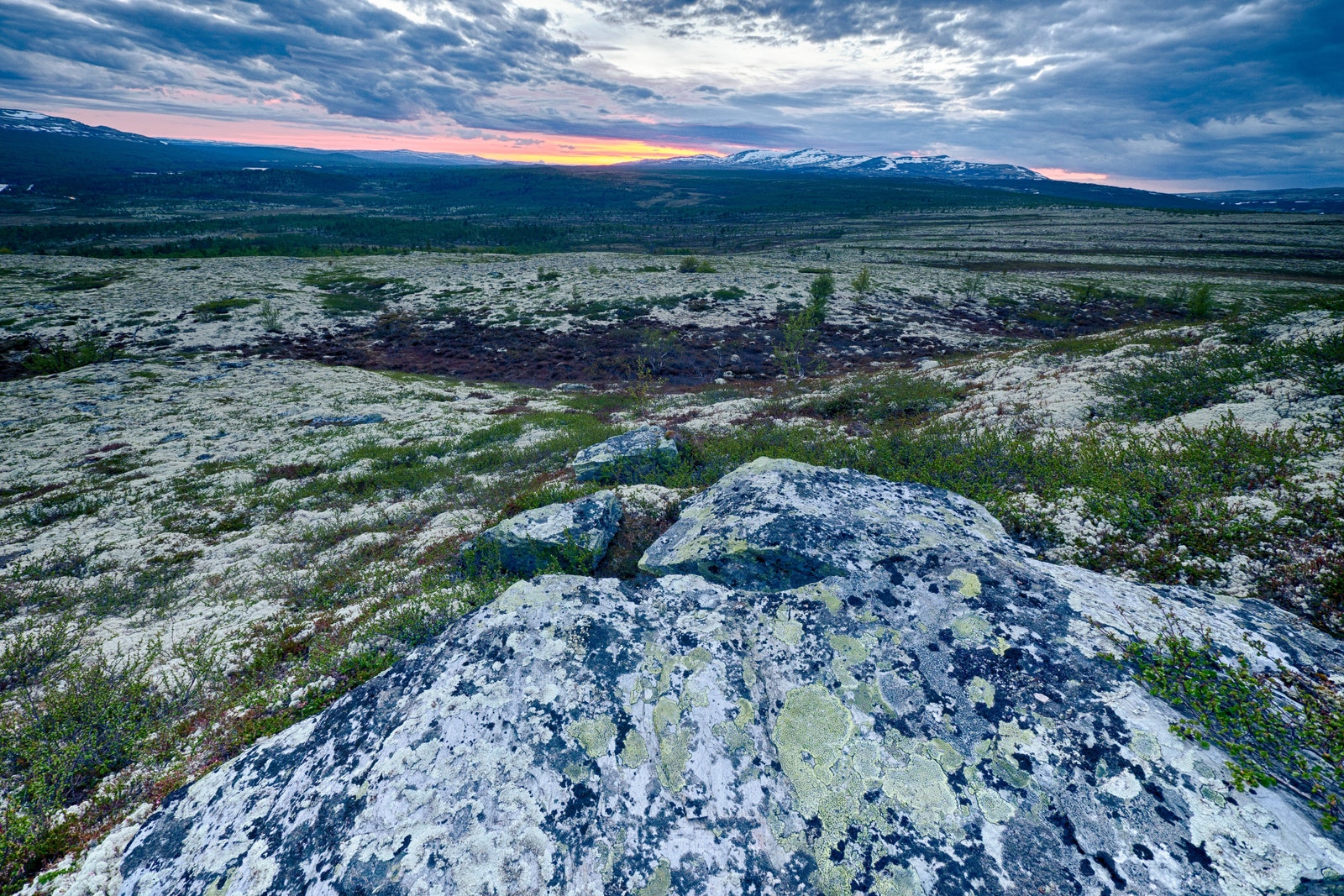 De følgende bilder er alle fra eller området rundt tomten. Galleribilde