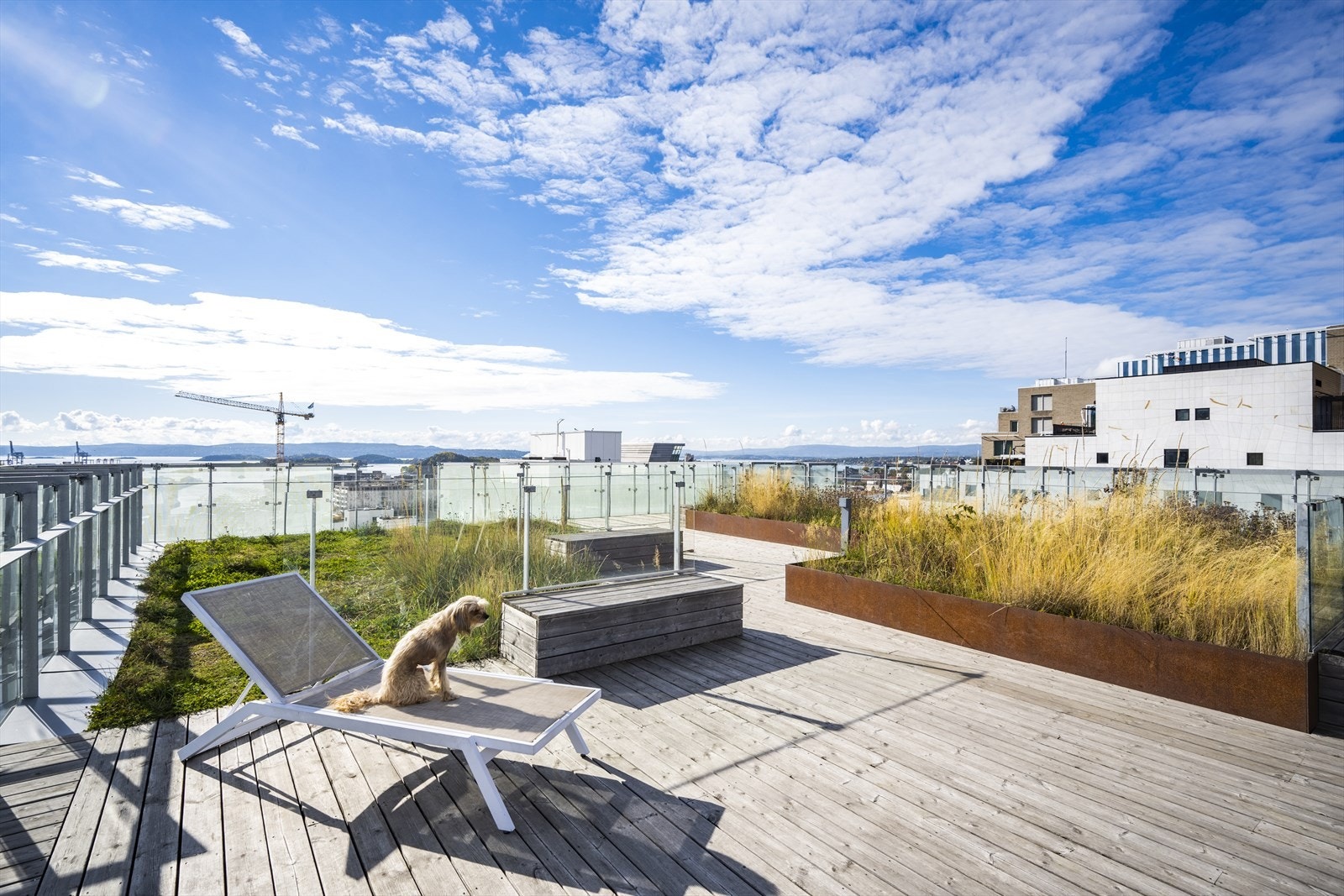 Takterrassen har utrolig 360 graders utsikt over hele Oslo Galleribilde