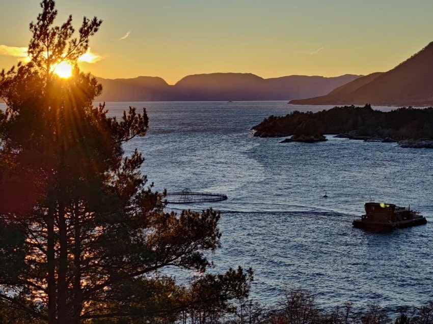 Utsikt fra hyttefeltet Galleribilde