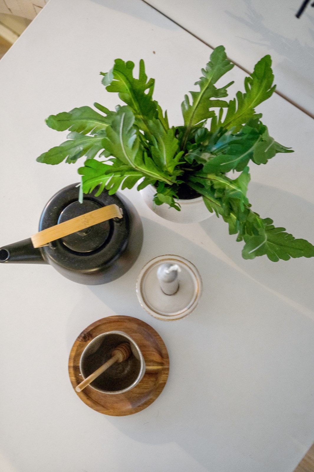 Detaljbilde. Galleribilde