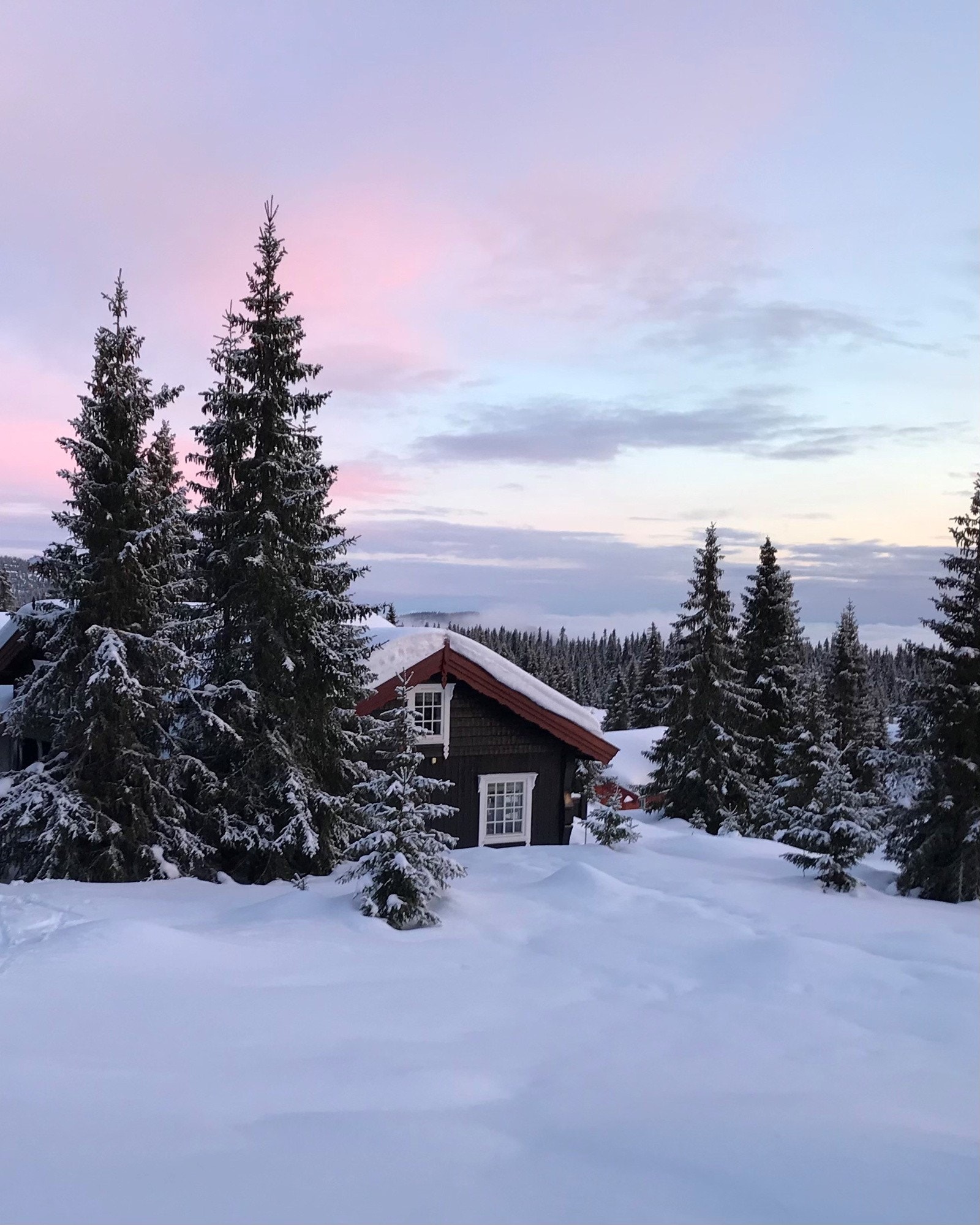 Skiløype i umiddelbar nærhet er det også fra hytta Galleribilde