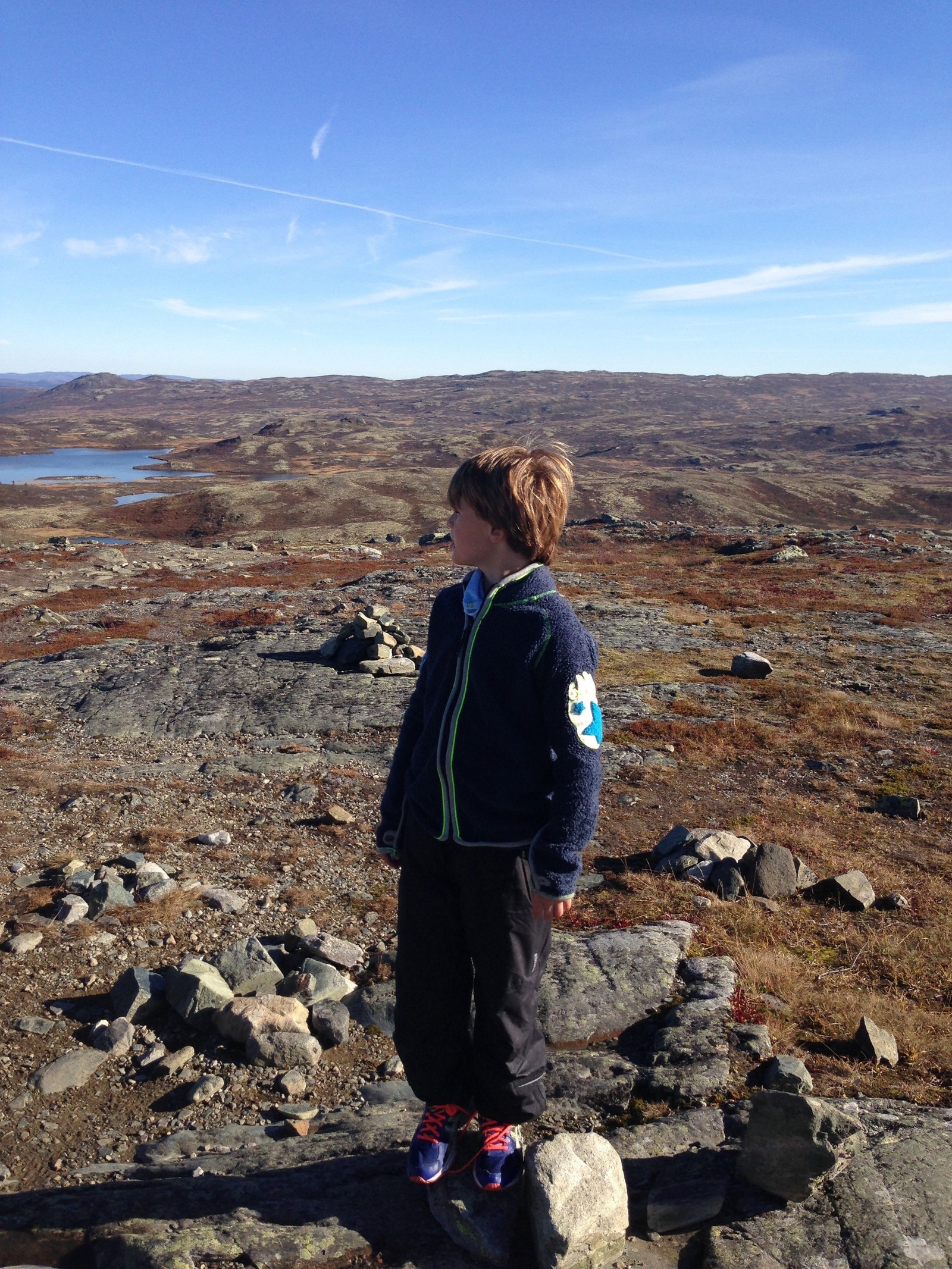 Nesfjellet høstbilde Galleribilde