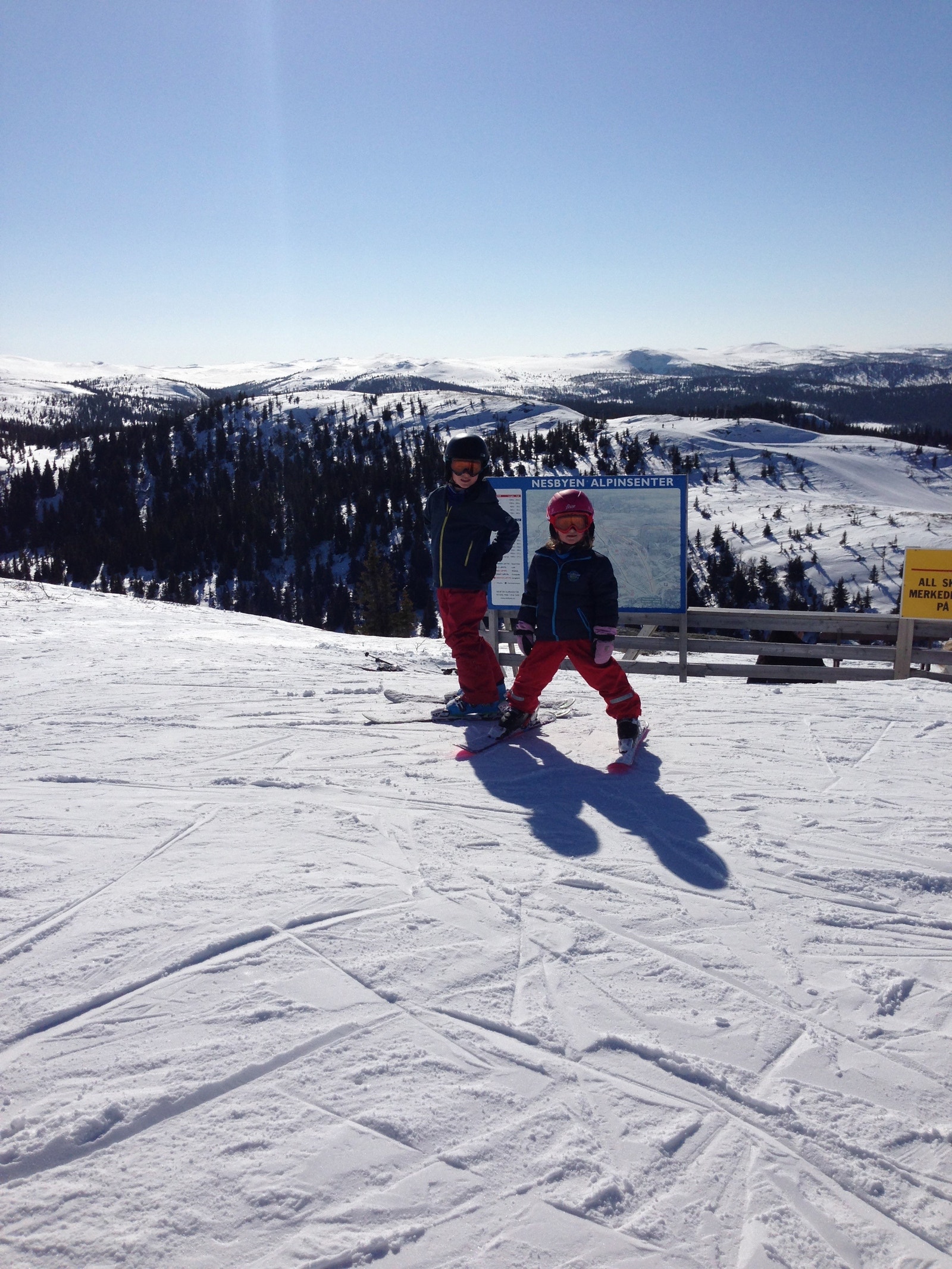 Nesfjellet Alpin Galleribilde