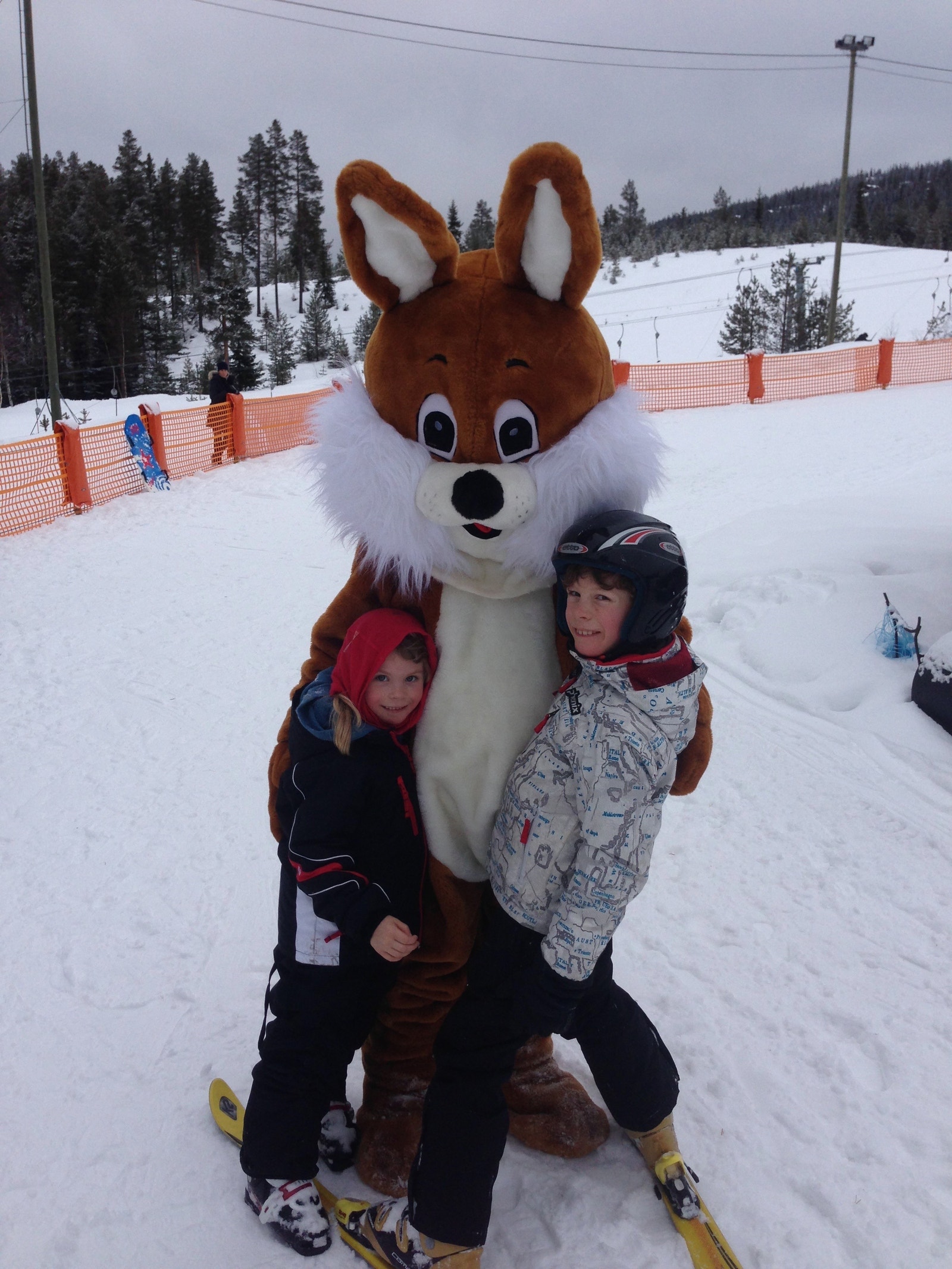 Nesfjellet Alpin Galleribilde