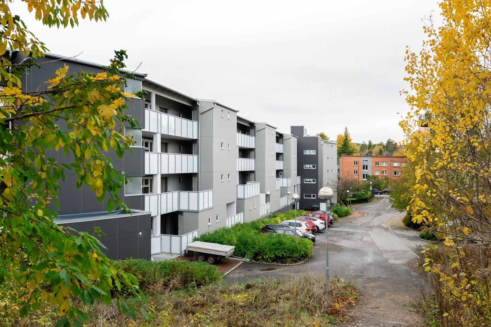 Nærområdet. Galleribilde
